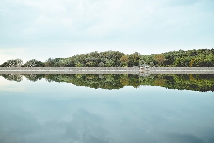 blue ocean water near green trees field under white sky, body of water surround by trees during daytime HD wallpaper