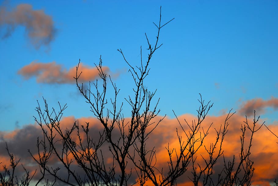 sky, cloud, blue, clouds sky, nature, sky clouds, weather, blue sky clouds HD wallpaper