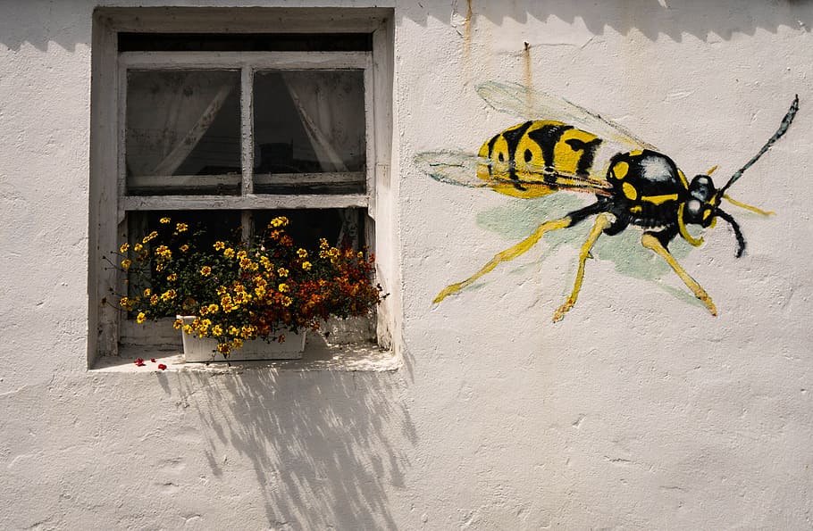 yellow wasp painted wall near glass window during daytime, flowers HD wallpaper