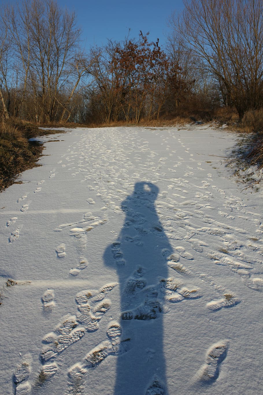 shadow, silhouette, snow, one, track, tracks, sun, winter, path HD wallpaper
