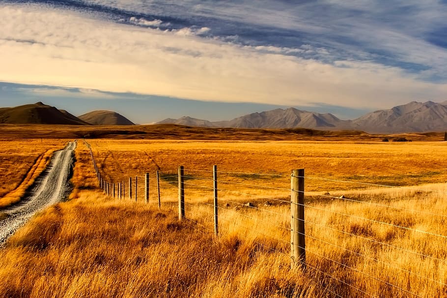 pathway in between brown grass field under white clouds and blue sky HD wallpaper