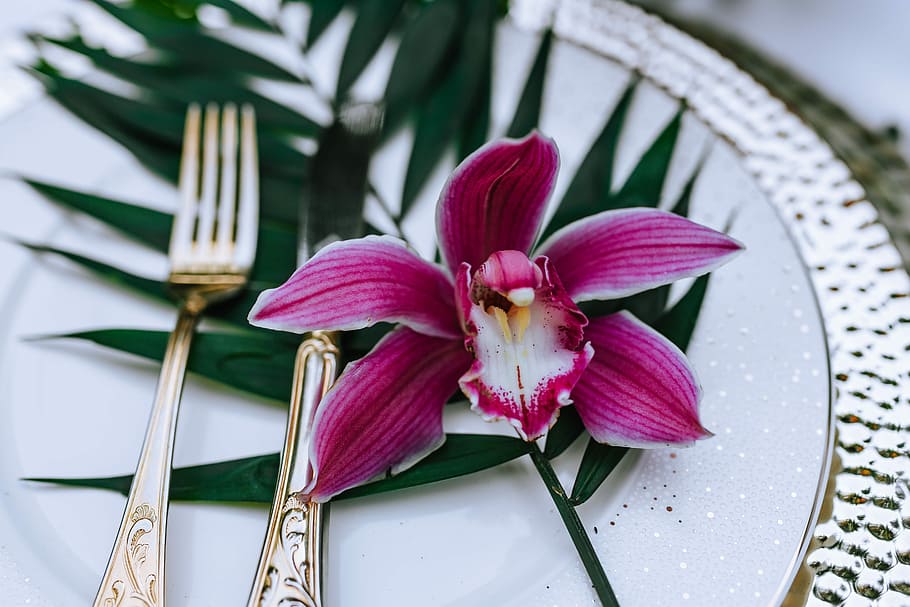 Colorful Exotic Flowers and Greenery, flora, leaf, leaves, tropical HD wallpaper