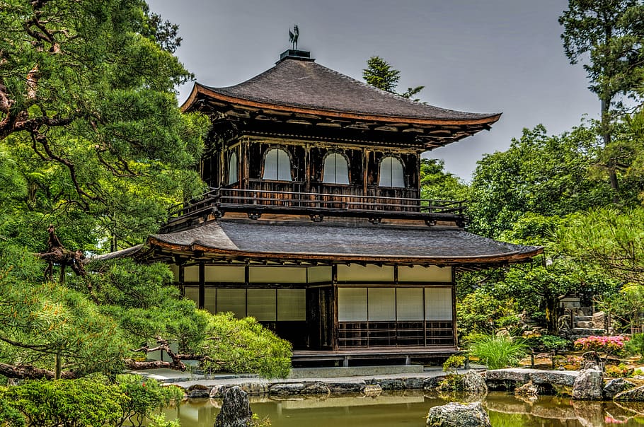 brown and white pagoda temple with trees, ginkaku-ji, kyoto HD wallpaper