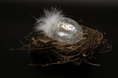 easter egg, egg, glass, fragile, feather, white, happy easter HD wallpaper