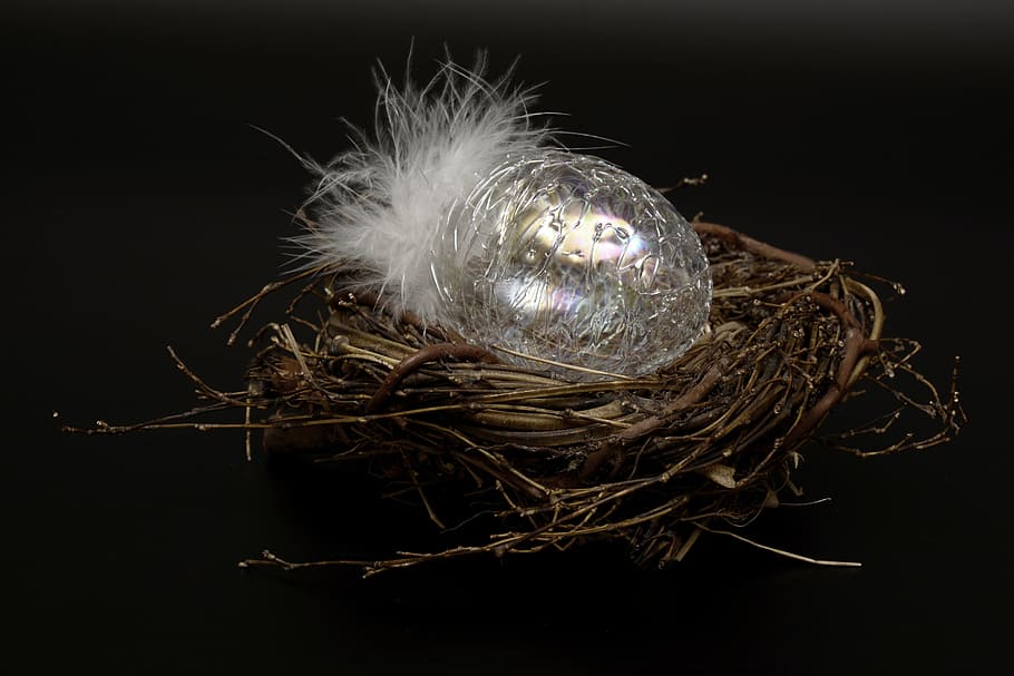 easter egg, egg, glass, fragile, feather, white, happy easter HD wallpaper