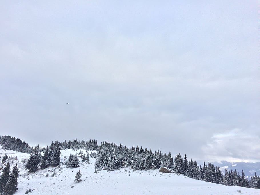 landscape, winter, snow, sky, mountain, nature, trees, blizzard HD wallpaper