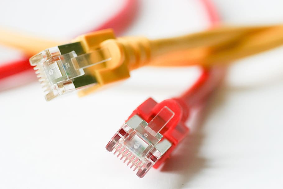 two yellow and red ethernet cables, technology, plug, network, HD wallpaper