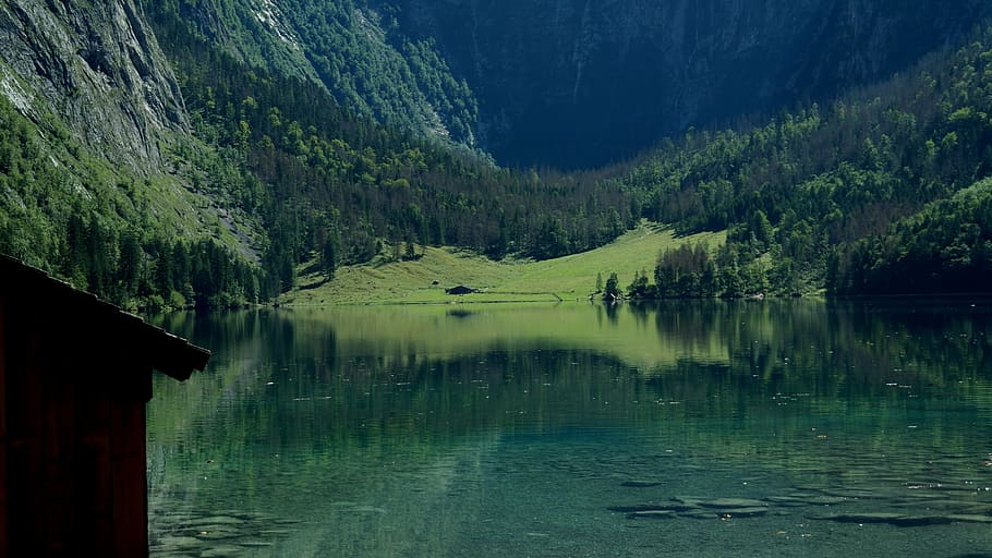 body of water near green trees, upper lake, königssee, berchtesgaden