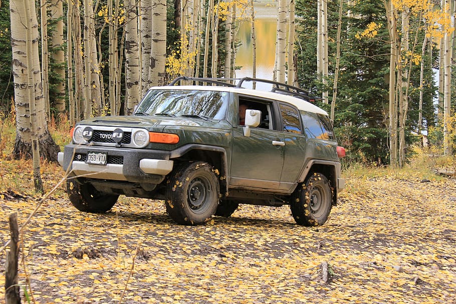 jeep, 4wd, four wheeling, fj cruiser, fall, car, off-Road Vehicle