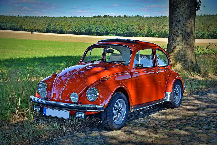 red Volkswagen Beetle coupe parked near brown tree trunk at daytime