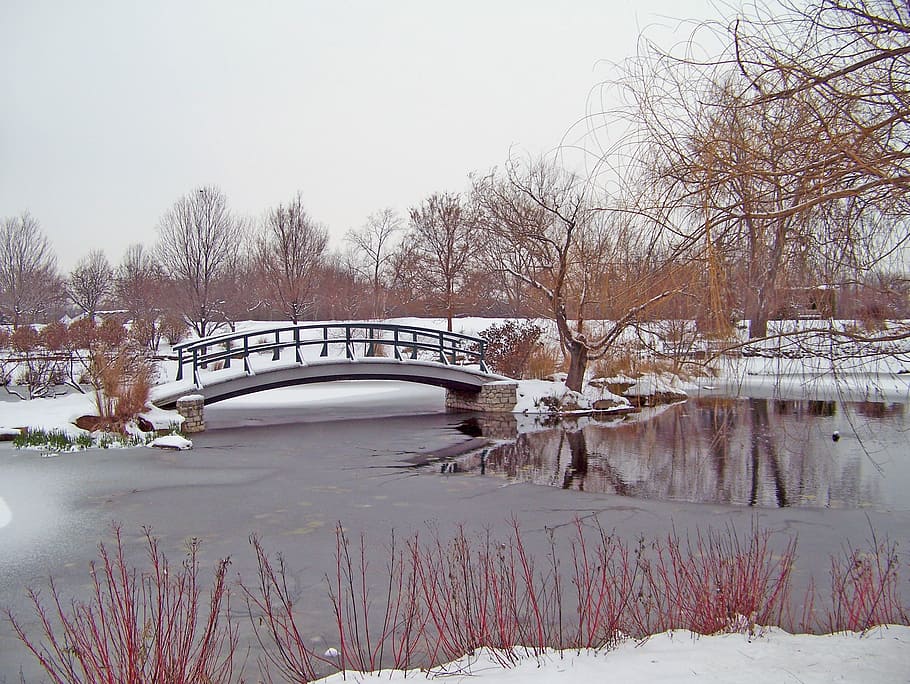 stream, bridge, snow, lake, winter, frozen, snowfall, footbridge HD wallpaper