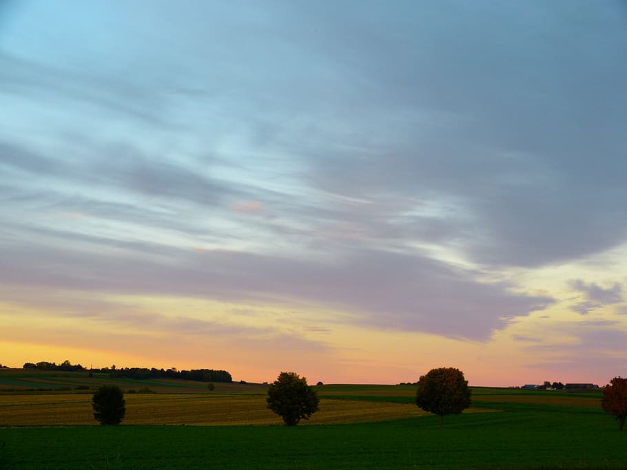 landscape, abendstimmug, sunset, sky, evening sky, trees, clouds HD wallpaper