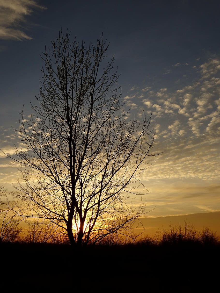 sunset, landscape, beauty, clouds, sky, scenery, winter, silhouette HD wallpaper