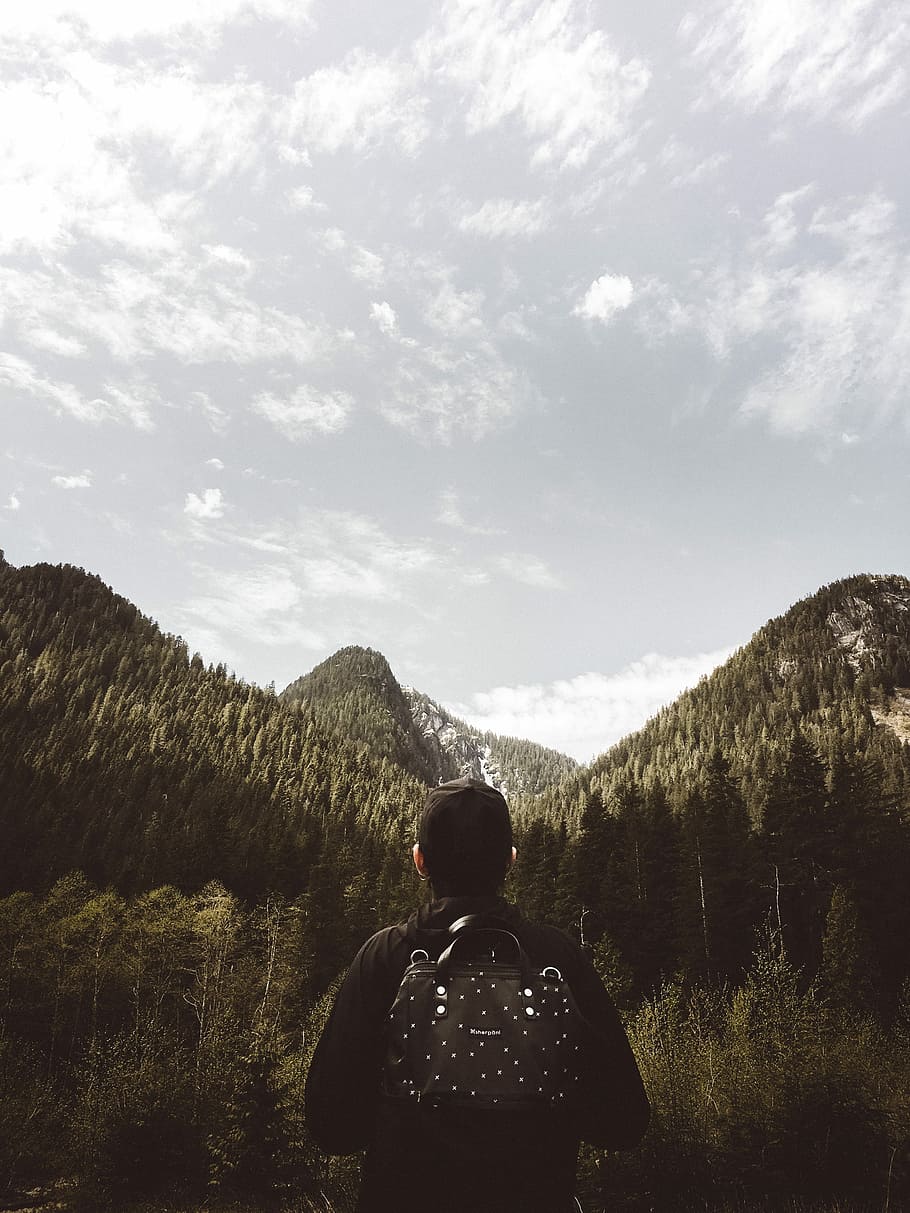 man facing mountain range covered with green leafed trees, man standing in front of forest near mountain range HD wallpaper