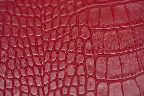 red crocodile-skin leather cuishion, texture, snake, wallpaper HD wallpaper