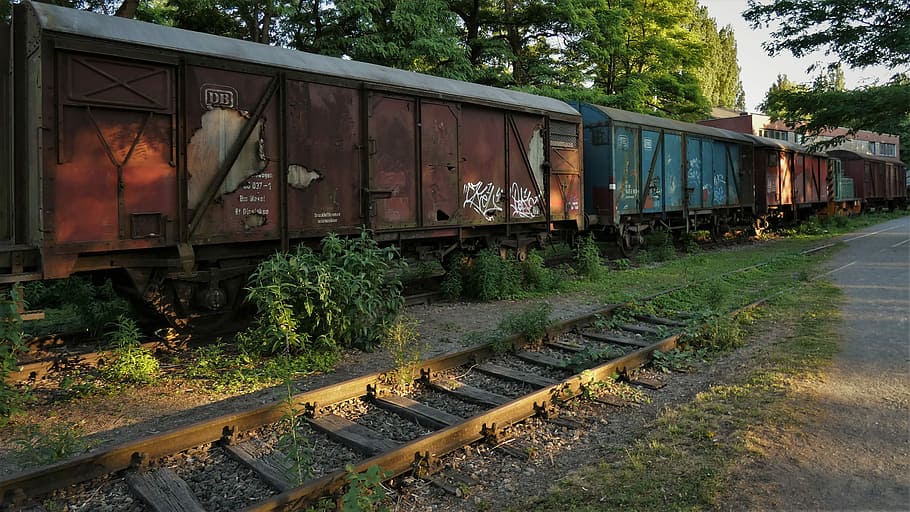 Train, Wagons, Siding, Railway, leave, boxcar, nostalgic, retired HD wallpaper