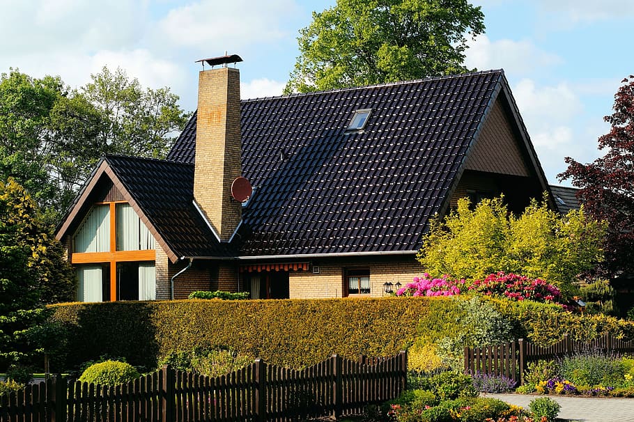black and brown house covered in plants, home, modern, architecture HD wallpaper