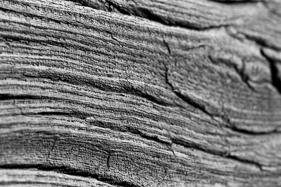 Wood, Structure, Texture, Plank, material, floor, timber, pattern HD wallpaper