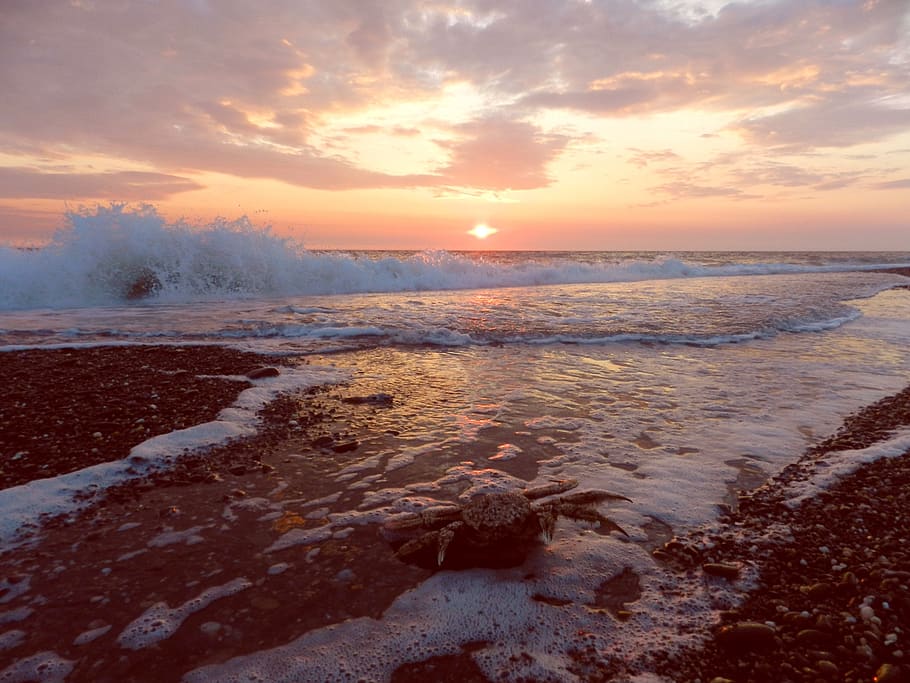 ocean, sunrise, wave, forward, surf, sunset, seascape, beach HD wallpaper