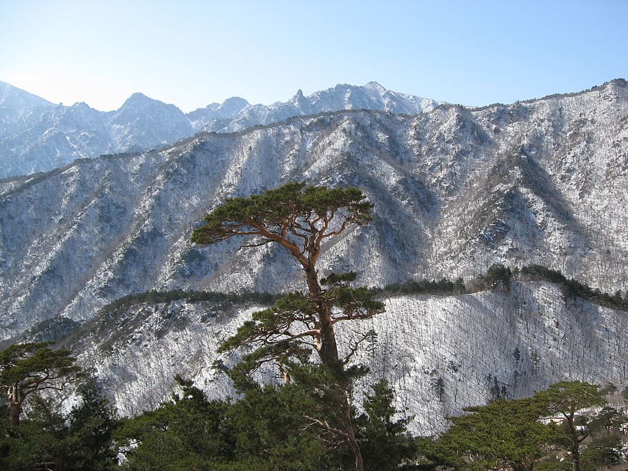 Mt, Seoraksan, Snow, Rock, Ulsan, mt seoraksan, snow and rock, HD wallpaper