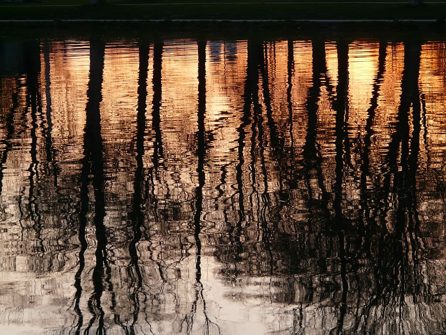 River, Trees, Water, abendstimmung, sunset, mirroring, romance HD wallpaper