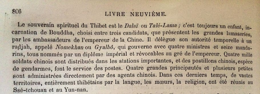 appointment of the dalai lama, 1876, translation, process of appointment