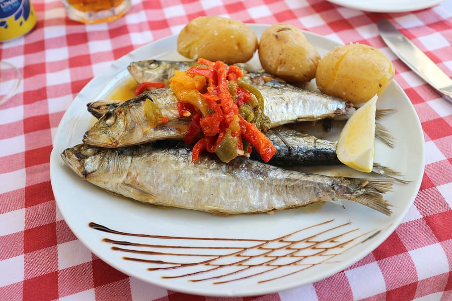portugal, sardines, marine products, food, food and drink, plate