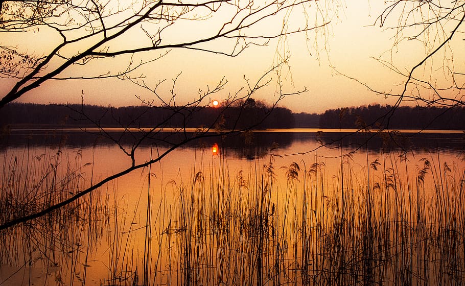 reflection, waters, dawn, sunset, lake, tree, sky, beauty in nature HD wallpaper