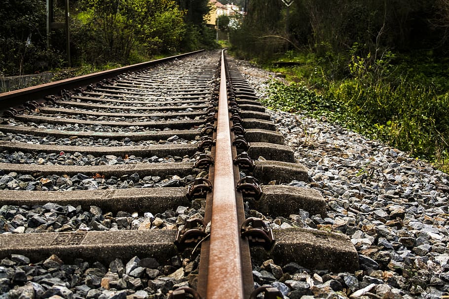 empty railroad in between trees, railway, train, sleepers, via HD wallpaper