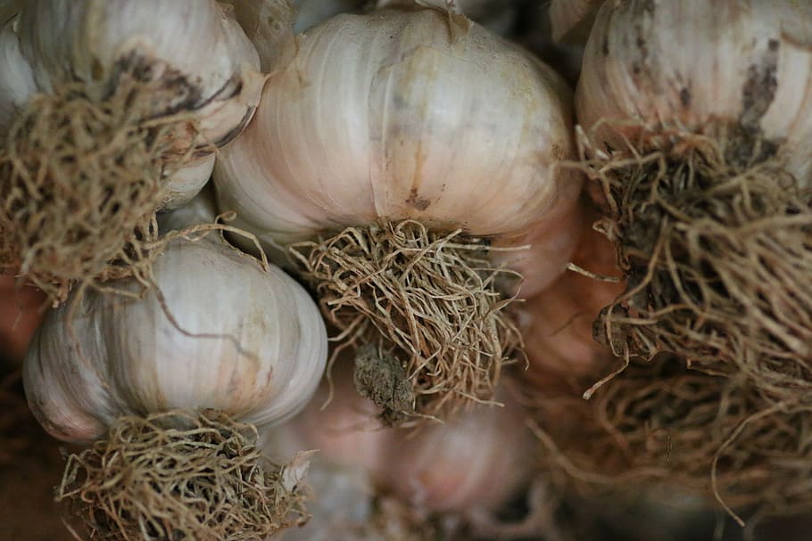 garlic, condiment, kitchen, flavor, eat, market, food and drink HD wallpaper