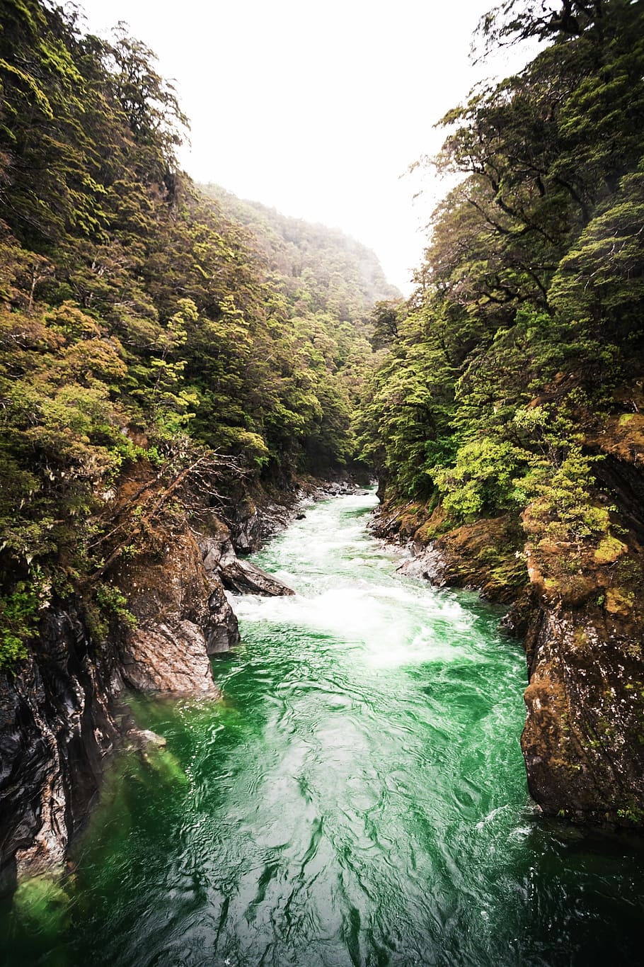 landscape photo of flowing river, river between green trees at daytime HD wallpaper