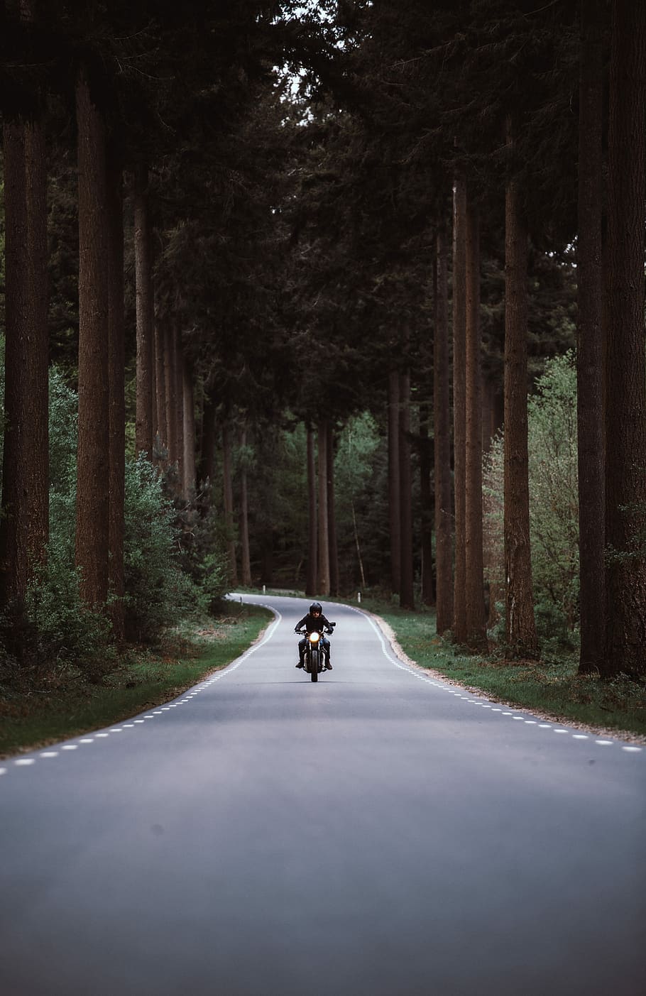 man riding black motorcycle on road between forest, person riding a motorcycle while traveling on gray asphalt road in the middle of trees