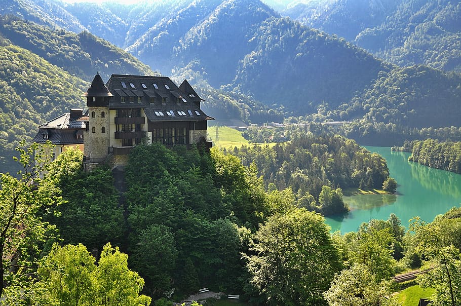 gray castle surrounded by trees, nature, landscape, ledge, fortress HD wallpaper