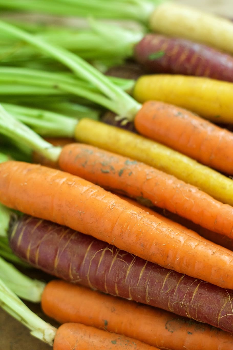 Carrots, Orange, Vegetable, food and drink, multi colored, no people HD wallpaper