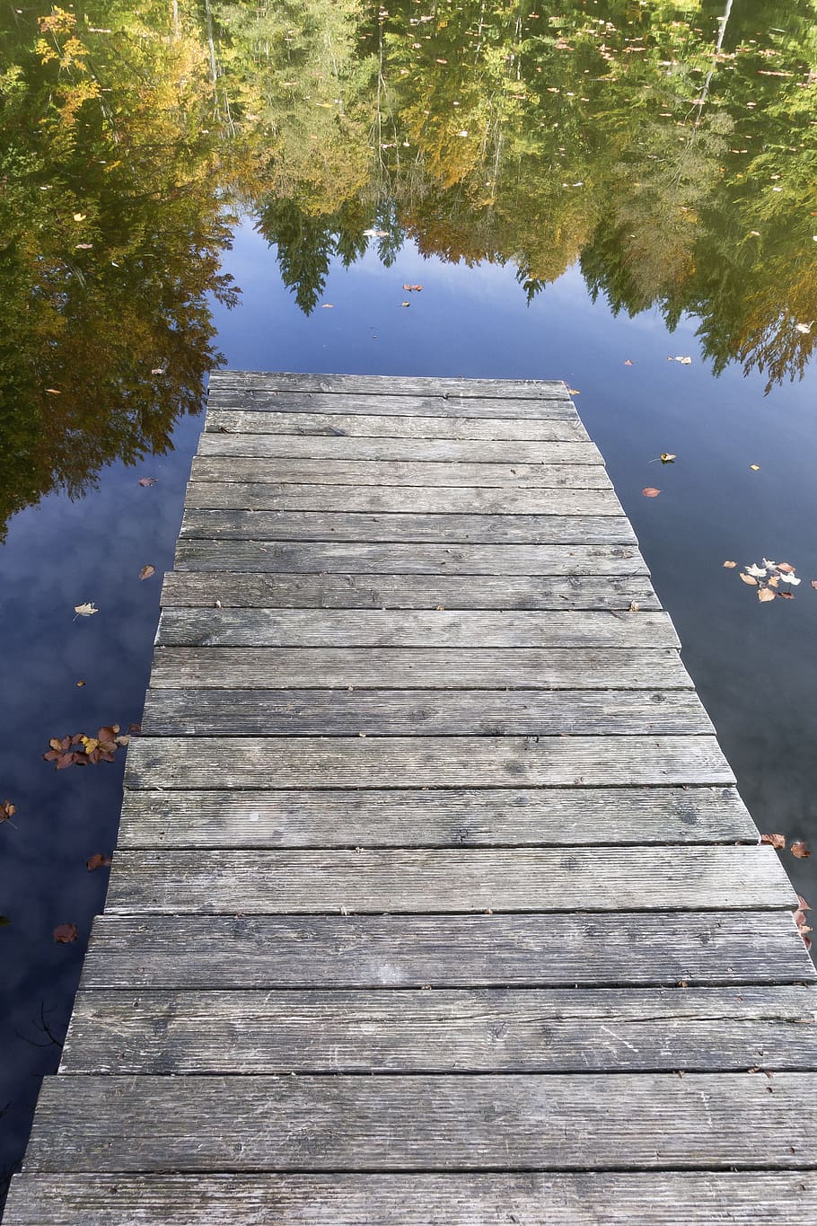 web, boardwalk, lake, water, landscape, nature, jetty, mirroring HD wallpaper