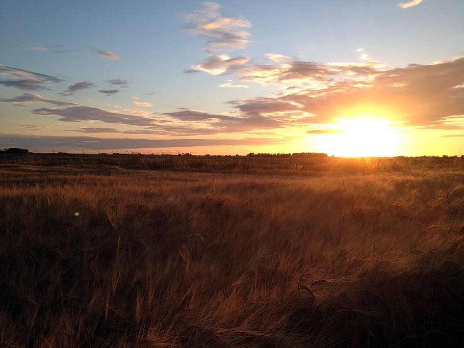 fen, sunset, landscape, sky, environment, evening, outdoor