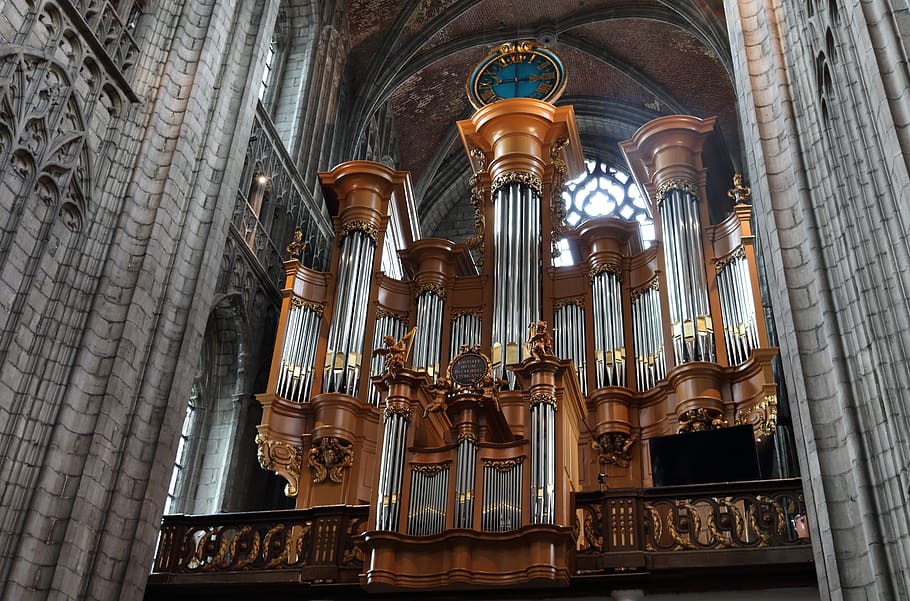 belgium, mons, church, organ, music, instrument, pipe organ, HD wallpaper