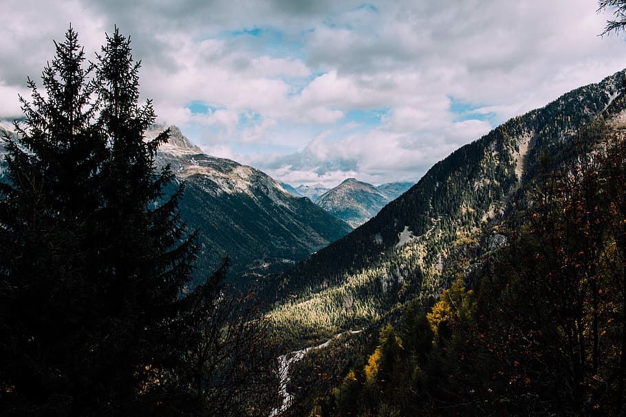 HD wallpaper: bird’s eye view of trees and mountains, landscape