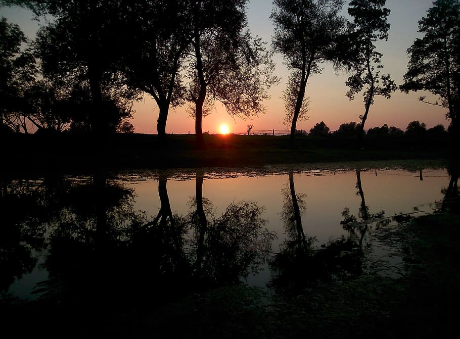 river, sunset, water, landscape, nature, reflection, tree, silhouette HD wallpaper