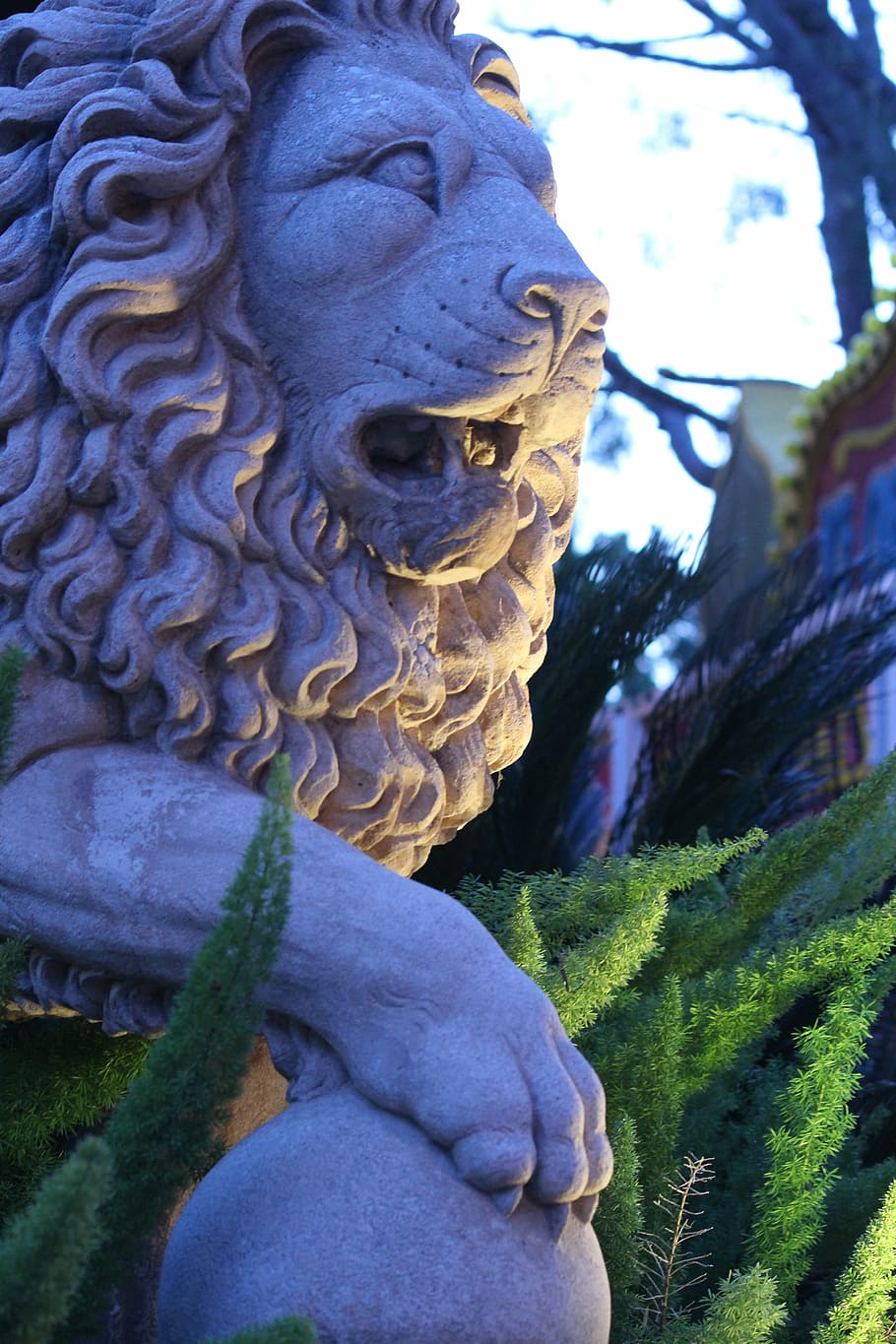 lion, statue, regal, garden statue, blue hour, sentry, animal, HD wallpaper