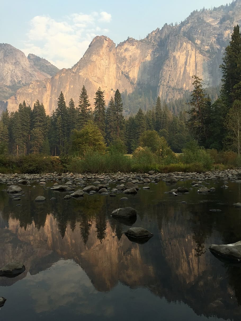 calm body of water nearby brown mountains surrounded by pine trees HD wallpaper