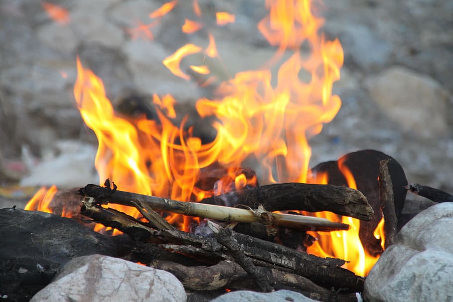 shallow focus photography bonfire, woods, camping, nature, forest, HD wallpaper