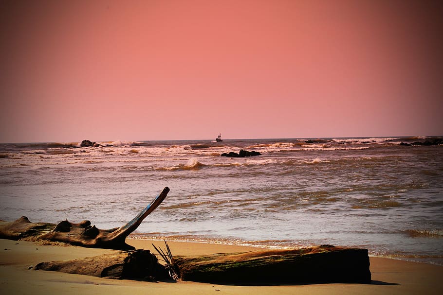 beach, log, sunset, water, sand, nature, tree, sea, summer HD wallpaper