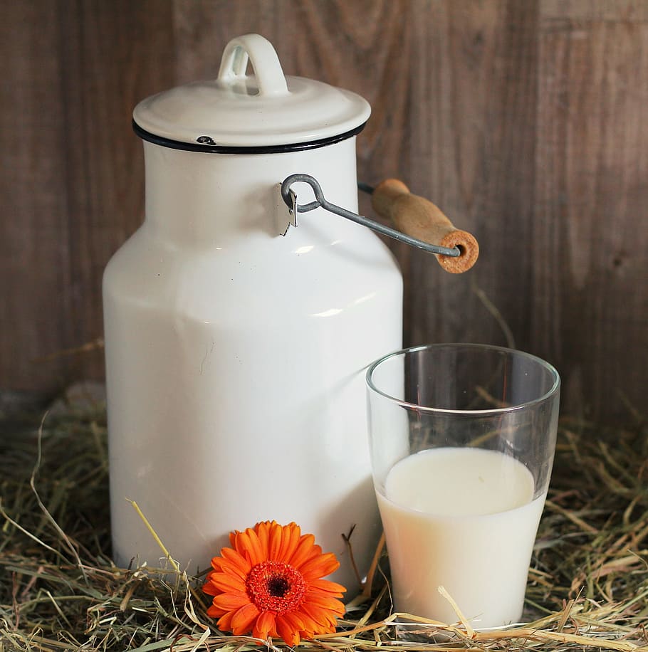 white milk can and drinking glass, glass of milk, gerbera, flower