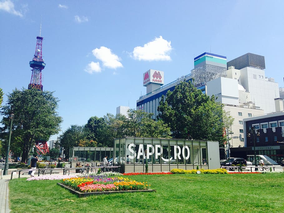 Sapporo 1080P, 2K, 4K, 5K HD wallpapers free download | Wallpaper Flare