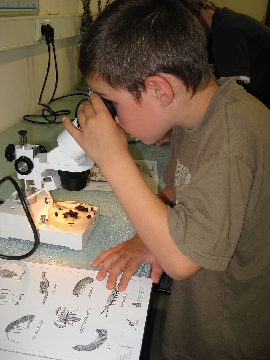 children, activities, microscope, fauna, soil, one person, males HD wallpaper