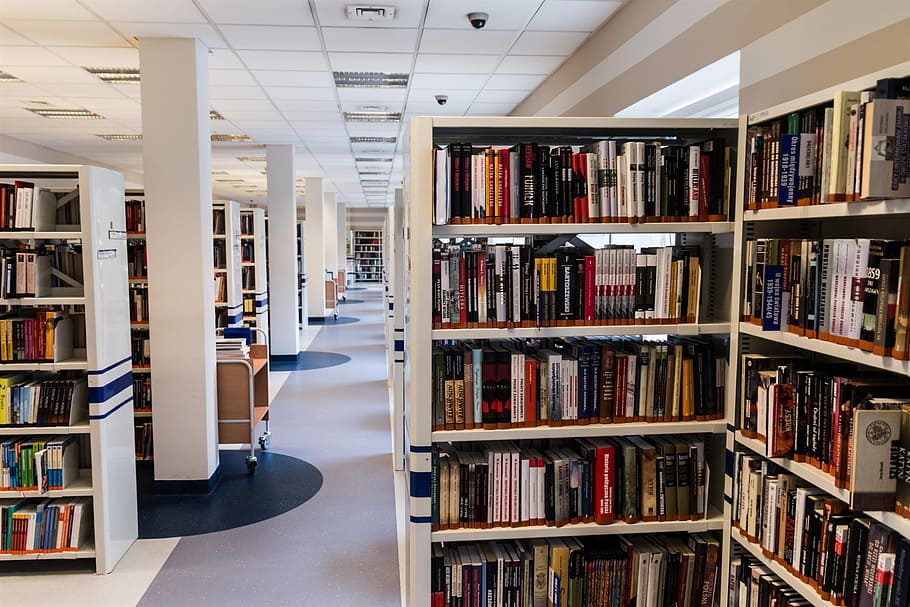 photo of library room, book, reading, education, knowledge HD wallpaper