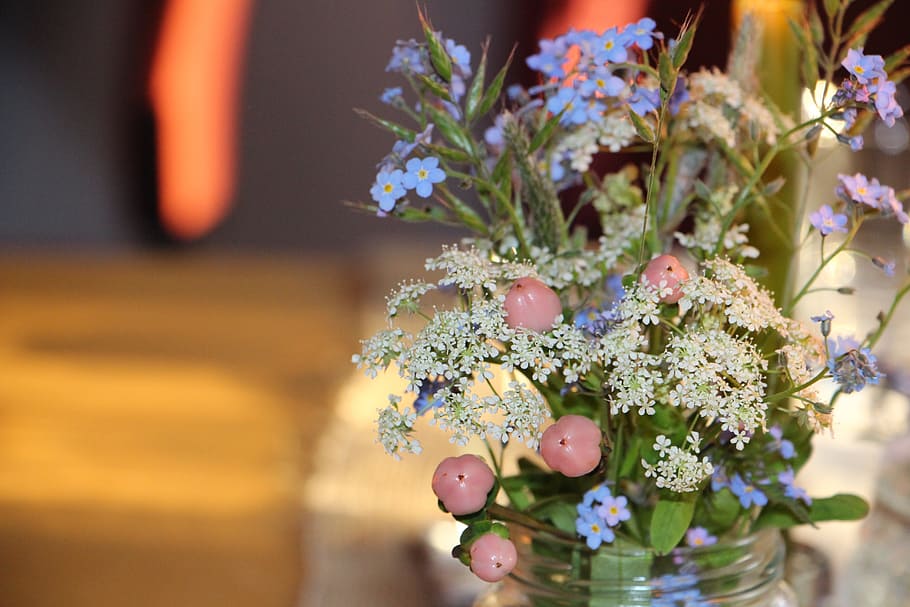 plant, deco, close, flower, flowering plant, decoration, nature HD wallpaper