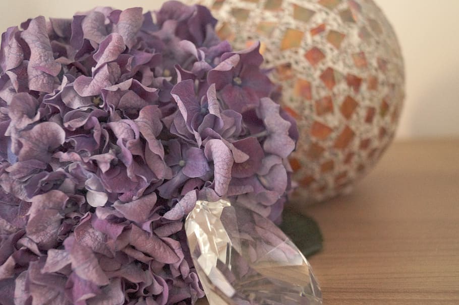 hydrangea, purple, background, blossom, bloom, diamond, decoration, HD wallpaper