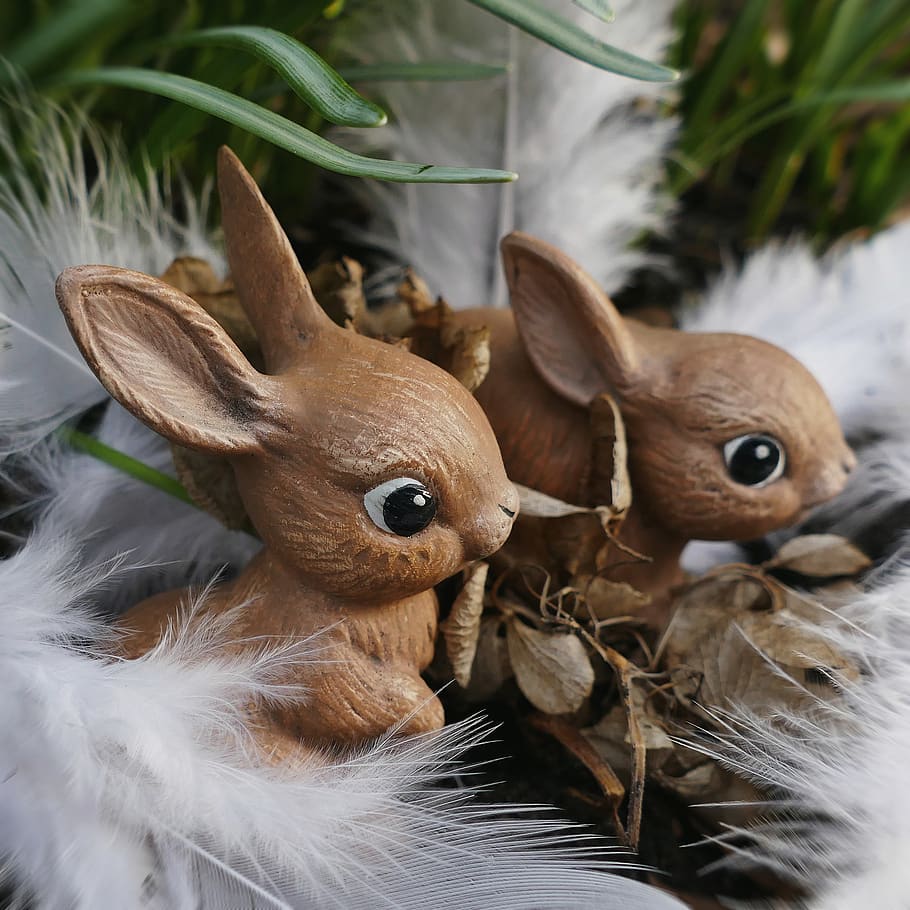 bunny, rabbit, cute, sweet, figure, easter, long eared, map HD wallpaper